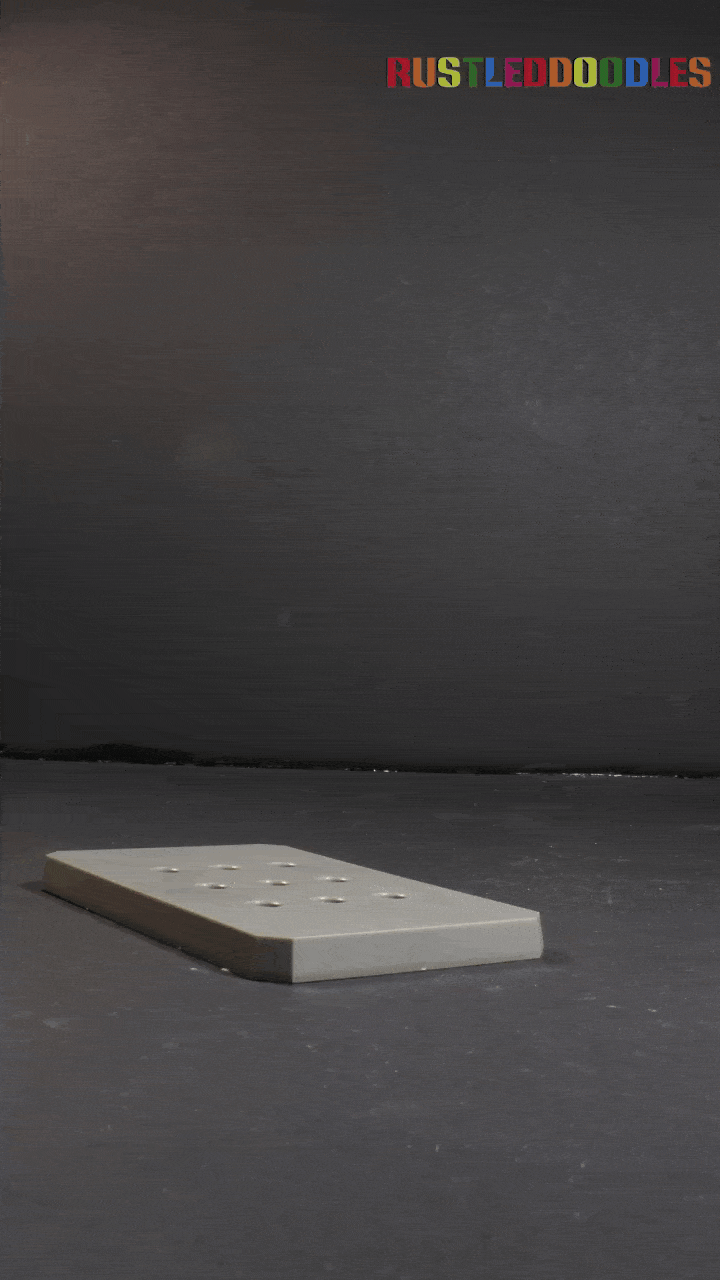 Giganotosaurus Skeletal Assembly