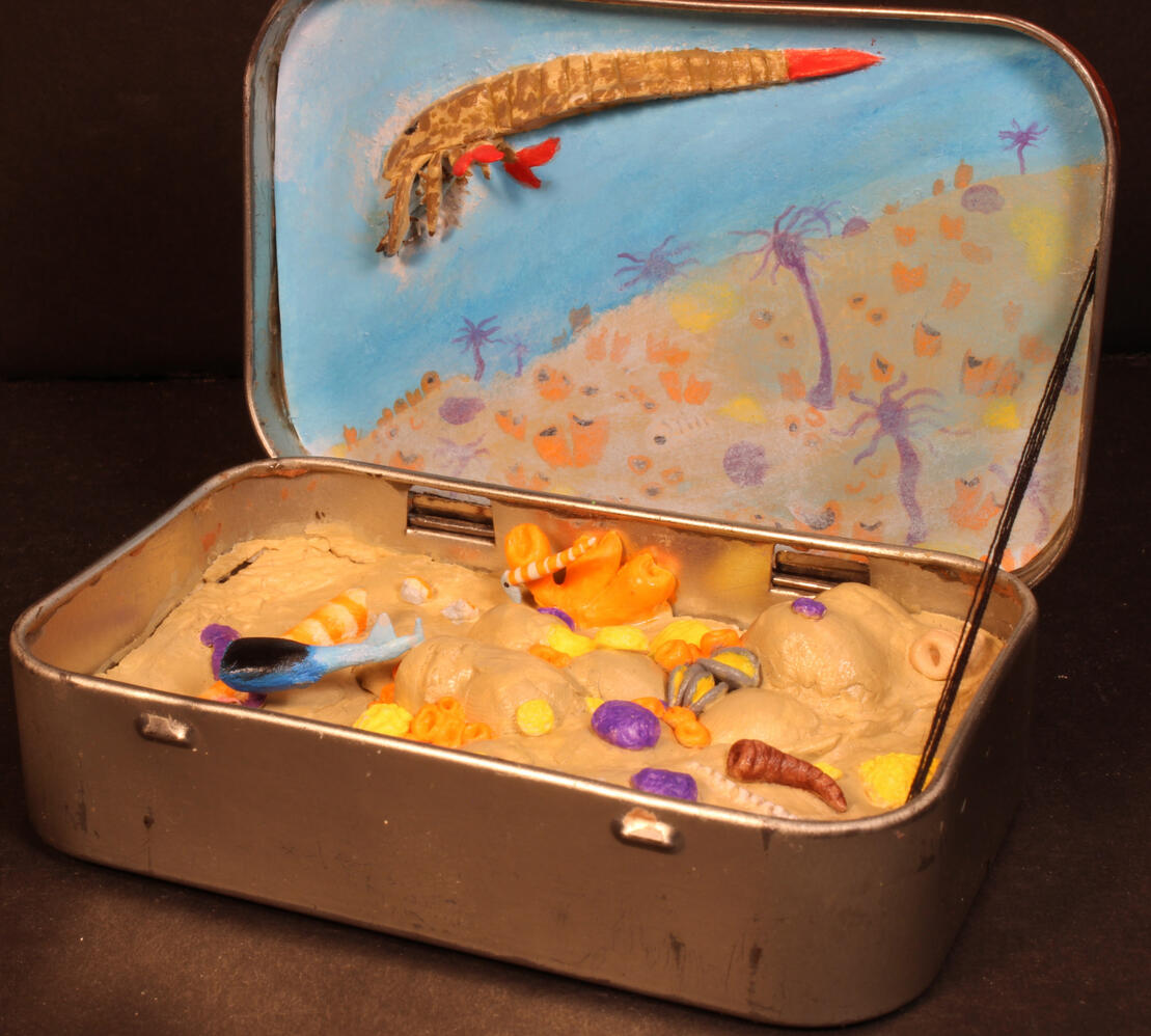 Opening Up The Ordovician